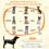Dog Crate 6