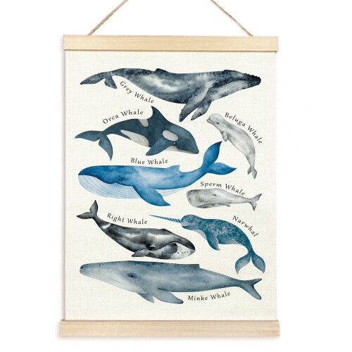 Affiche de baleines en toile robuste pour crèche-30x40 Style 1