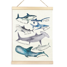 Affiche de baleines, tableau des alphabets pour-20x30 Style 2
