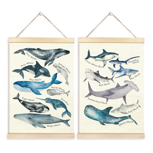 Affiche de baleines, tableau des alphabets pour-20x30 Style 2 2