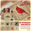 (D) Cross Kit With Floral Pattern, Bird Embroidery Kit For Adults Beginners, DIY Needlepoint Wall Art 3