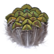 All Kinds Natural Pheasant Feathers Peacock Feathers Small Feather Crafts Jewelry Holiday Decorations 37cm 24 20pcs