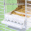 Maison d'alimentation transparente pour oiseaux,-Genting Blanc 7