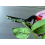 2 Pieces Garden Shears, Rose Shears, Vine Shears, Red/silver 5