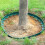 Garden Lawn Retaining Board Plastic  Landscape  Isolation Strip Equipped with Fixing Nails B 6