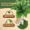 Cat Scratching Post for Cats Tree Catcus Cat Scratcher Posts Toy Cute Kitten Kitty Sisal Rope Scratch with Teaser 4