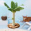 Cat Scratching Post for Cats Tree Catcus Cat Scratcher Posts Toy Cute Kitten Kitty Sisal Rope Scratch with Teaser 3