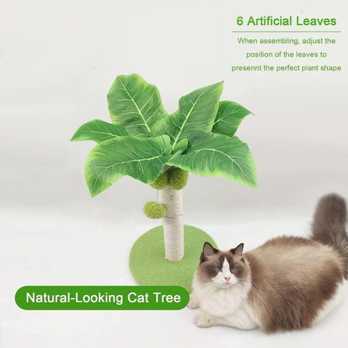 Cat Scratching Post for Cats Tree Catcus Cat Scratcher Posts Toy Cute Kitten Kitty Sisal Rope Scratch with Teaser 1