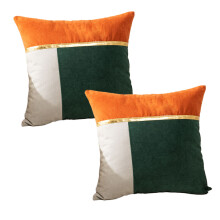 Coussin décoratif en velours turquoise, housse de coussin assortie avec fermeture éclair invisible, pour canapé ou lit, lot de 2