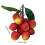 Kunstmatige fruitbos van plastic-bayberry 4
