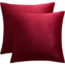 Housse de coussin décorative en velours, confectionnée avec soin, rectangulaire et confortable, avec fermeture éclair invisible, idéale pour le