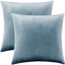Taies d'oreiller en velours polyvalentes, housses douces et confortables pour une allure luxueuse, lot de 2
