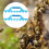 Râteau d'espacement en nid d'abeille pour ruche à 7 cadres, 5