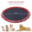 Pet splash sprinkler pad 5