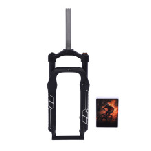20 Zoll Snow Beach Cycle Gabel 135 mm Abstand Hub