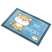 Tapis de sol multifonctions en microfibre facile à nettoyer, résistant et durable, en velours cristal épais, idéal pour le bureau, la buanderie