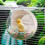 Multiuse Pet Habitat For Parakeets Quails Hamsters-White 7