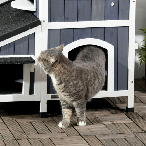 Cat House 1