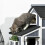 Cat House 4