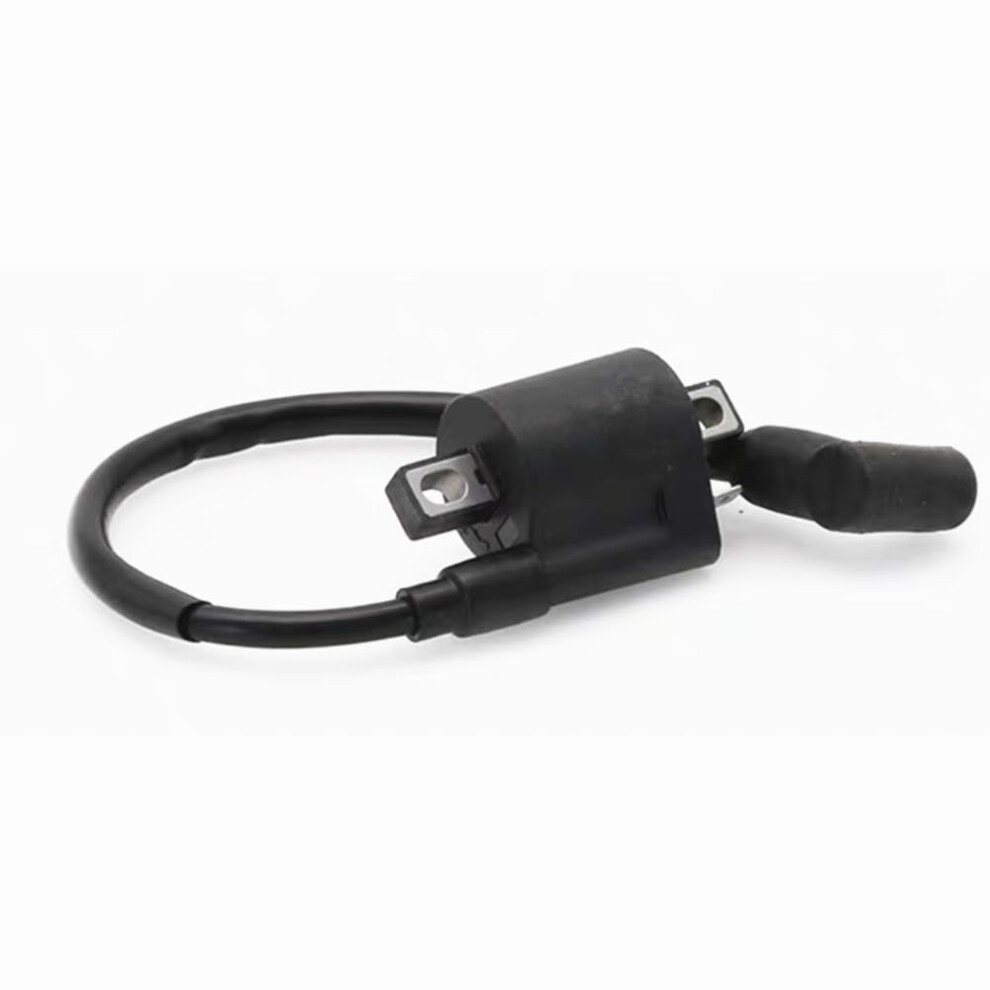 Outboard Motor Ignition Coil For Hangkai 6Hp 2 Stroke Engine Efficiency Easy Install 9426802796971