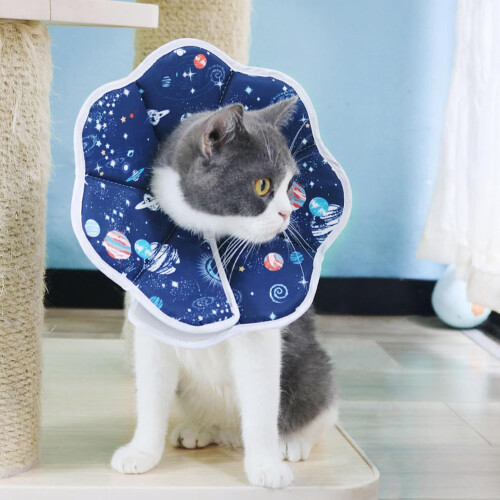 Recovery Collar For Cats Elizabeth Collar Protective Circles Adjustable Safety Protector Size Small Medium Kittens 1