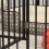 Dog Crate 2