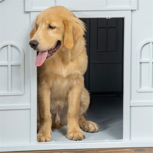Dog Crate 1