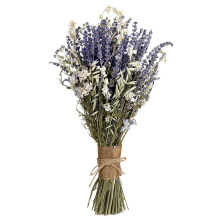 Dried Lavenders Flower Natural Dry Baby's-Lavender Swallow