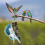 Bird Parrots Hideaways Bird Blanket Washable Parrots Cage-S 4