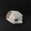 Animal Make Up Mask Half Facemasks Masquerades Cats Mask-9 7