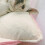 Fashion Pet Relaxation Sofa Pet Friendly Sofa Bed-White M 5