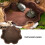 Turtles Basking Platform Reptiles Water Tray-Dark brown 5