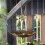 Multifunctional Bird Feeders Bath Tray with Umbrella Shape for 4