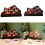 Multipurpose Halloweens Tabletops Skeletons Signs Wood 2