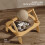 Cats Bed Soft Elevated for Small Medium Large Cats-shake music 5