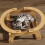 Cats Bed Soft Elevated for Small Medium Large Cats-shake music 3