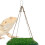 Hamster Lizards Sleep Bed Hammock Cool Greensward Cage-square 6