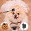 10/6/3pack Dog Eye Combs Tear Stain Remover Antiskid-10 sticks 4