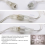 Decorative Multicolor String Lights, Wide Angle 5mm Bulbs Cool White Led String Lights, Create An Inviting Atmosphere For Birthday Anniversaries Holid 3
