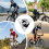 Bicycle Reflectors, Triangular Reflector Plate, Safe Rear Light, Night Riding Visibility for City Traffic 3