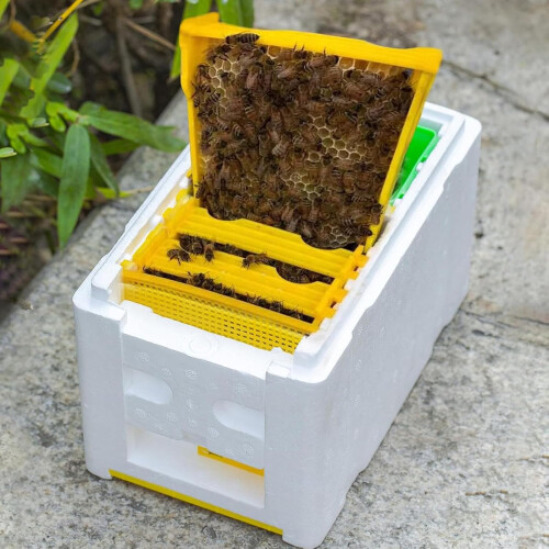 Beehive Box Insulation Foam Beekeeping Starter Pollination Winter Harvest 1