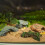 Life Like Stone Basking Platform Landscape Decoration Cave-18 6