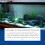 100ml Aquariums Odor Reduce Stain Solution Water Purifying Home 5
