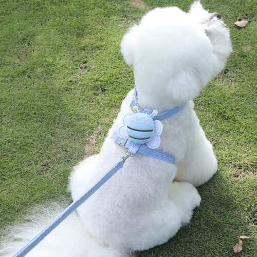 Comfortable Cat Leash for Kittens Adjustable Harness Set Soft Lightweight Escape-proof Design Small Cats Blue M 1