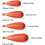 Fishing Casting Practice Plug Rubber Baitcasting Practice Plug For Improving Casting Skill, 5/6Piece Set, 5/7/10/12/15/20g 2