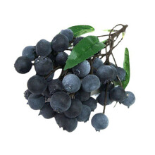 Künstlicher Obststrauß aus Kunststofffrüchten für-Blaubeere