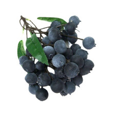 Artificial Fruit Bunch Plastic Fruit Simulation Fruit-blueberry