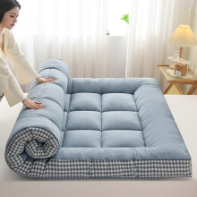 Blue Single Floor Futon Mattress 0.9m x 1.9m Thick Folding Sleeping Pad with Ergonomic Spine Support