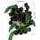 Artificial Fruit Plastic Fruit, Bunch of Simulation-bayberry 7
