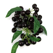 Bunch of Artificial Fruit Photography Props 6 Kind of-cherries